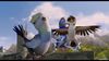 Трио в перьях / Richard the Stork / A Stork's Journey (2017) Онлайн Фильм