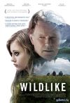 Дикость (2014) Смотреть Онлайн Фильм