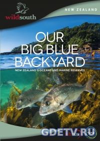 Сериал Океан на заднем дворе/Our Big Blue Backyard (2017) Смотреть онлайн