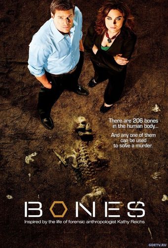 Смотреть Кости / Bones (2005-2017) все серии онлайн